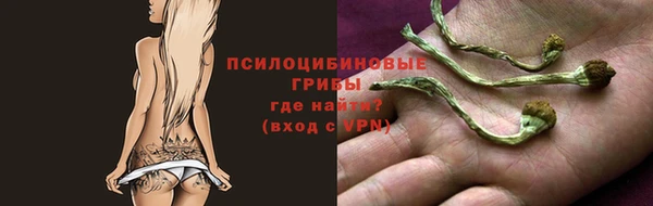 марки lsd Горно-Алтайск